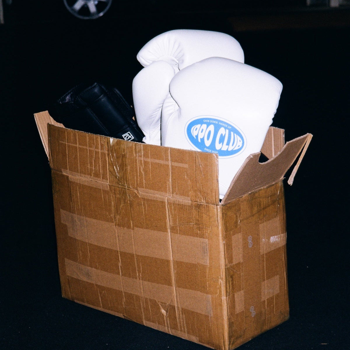 IPPO Club - Box Glove