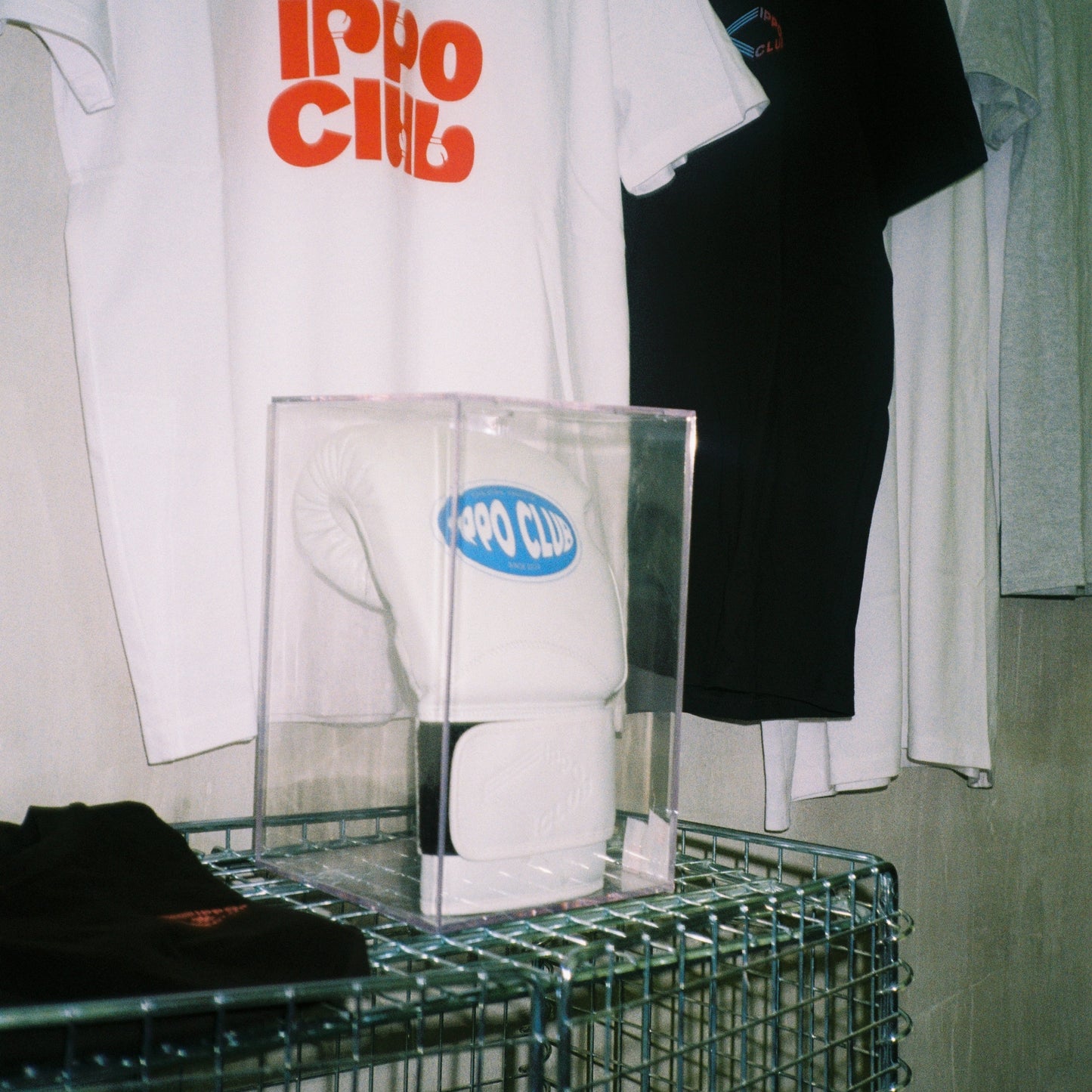 IPPO Club - Box Glove